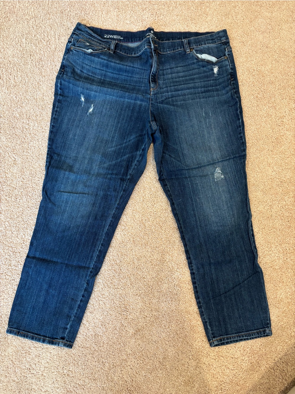 Dark Blue Women's Stretch Denim Jeans 22W